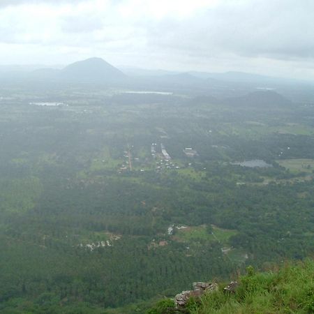 Villa Raintree Dambulla Esterno foto