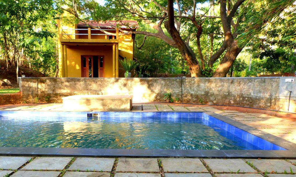 Villa Raintree Dambulla Esterno foto