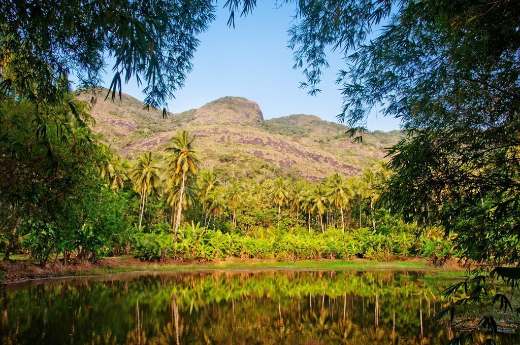 Villa Raintree Dambulla Esterno foto