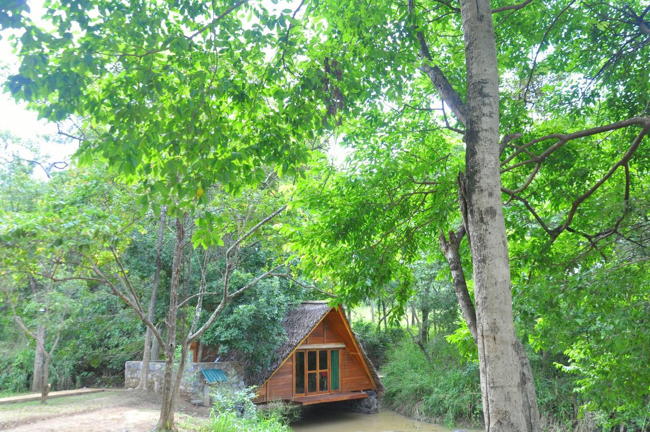 Villa Raintree Dambulla Esterno foto