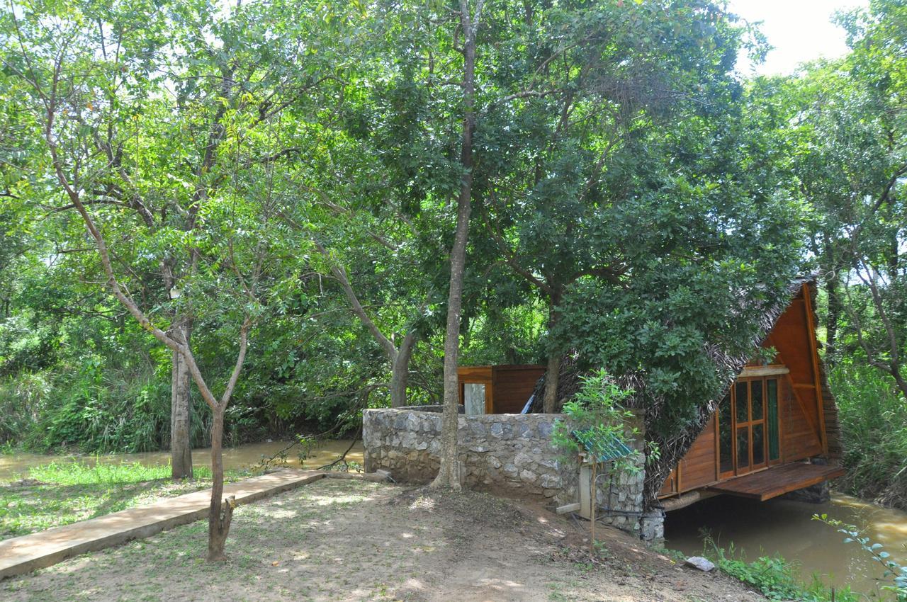 Villa Raintree Dambulla Esterno foto