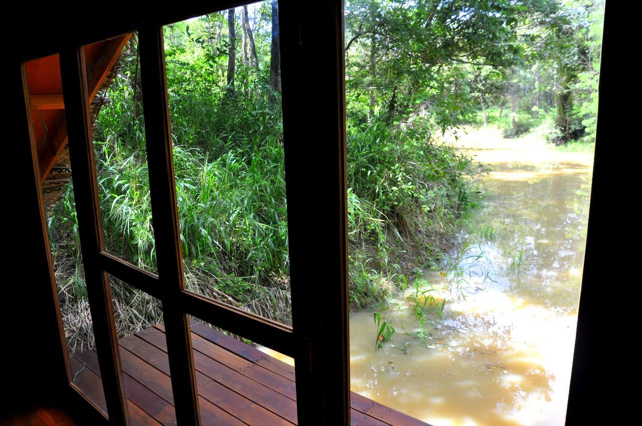 Villa Raintree Dambulla Esterno foto