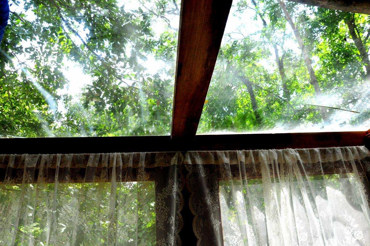 Villa Raintree Dambulla Esterno foto