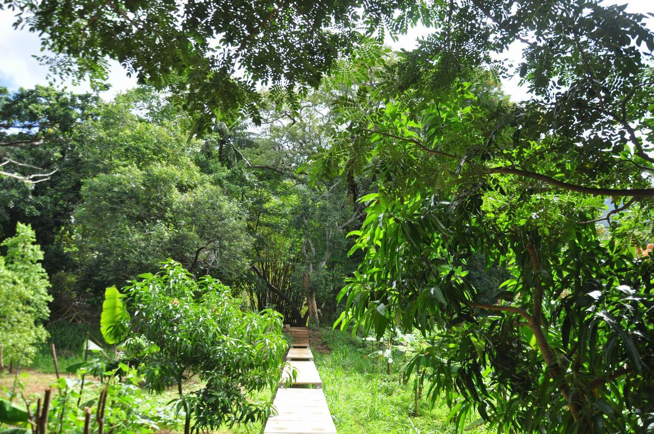 Villa Raintree Dambulla Esterno foto