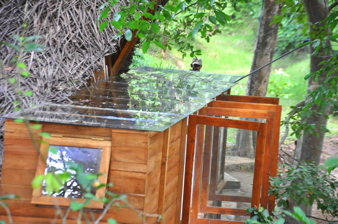 Villa Raintree Dambulla Esterno foto