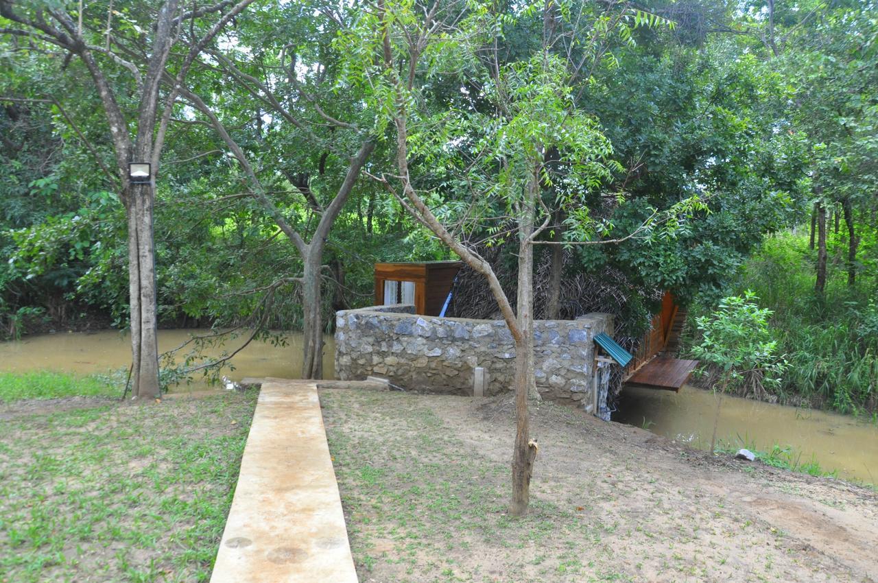 Villa Raintree Dambulla Esterno foto