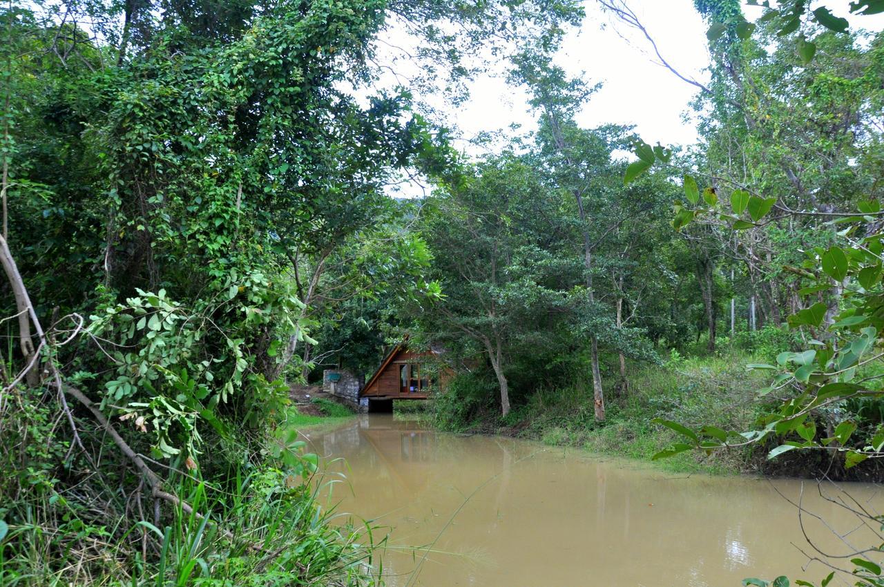 Villa Raintree Dambulla Esterno foto