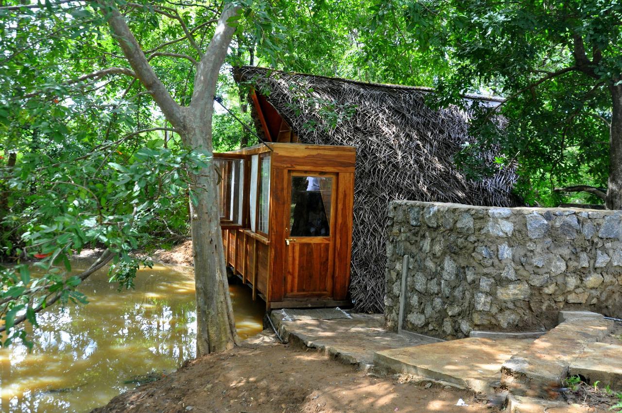 Villa Raintree Dambulla Esterno foto