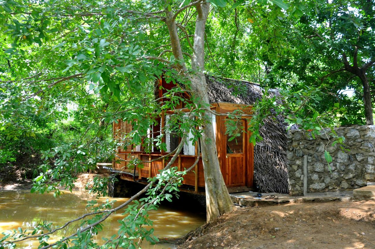 Villa Raintree Dambulla Esterno foto