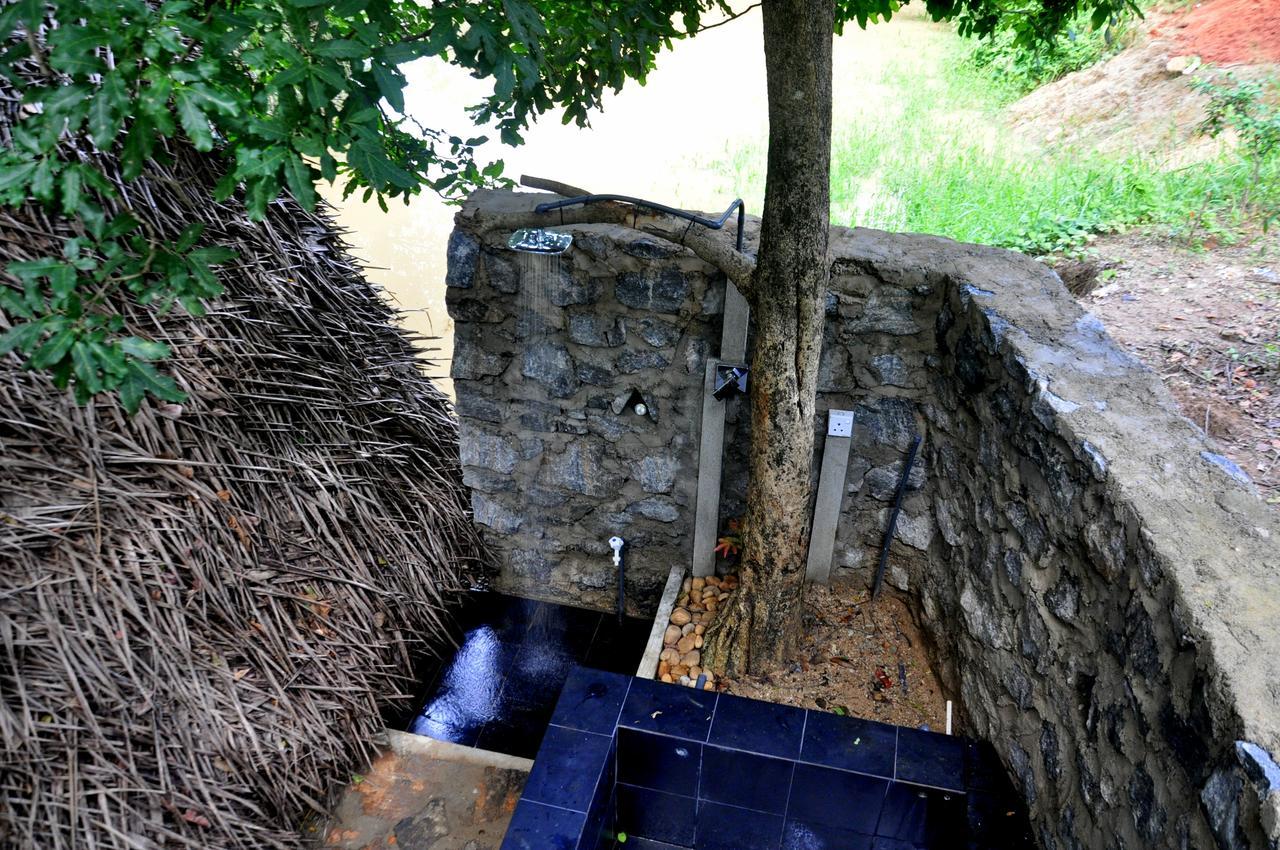 Villa Raintree Dambulla Esterno foto