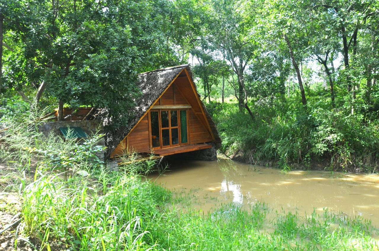 Villa Raintree Dambulla Esterno foto