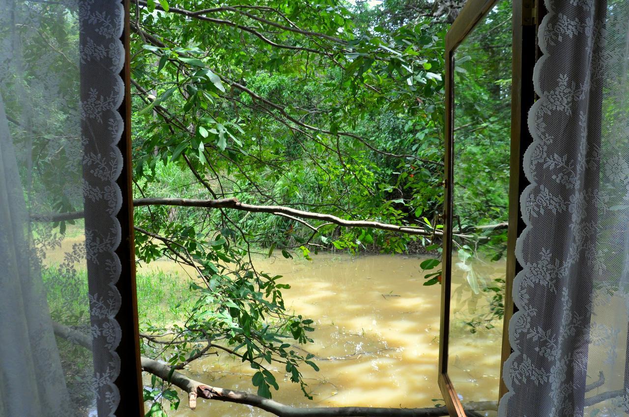 Villa Raintree Dambulla Esterno foto