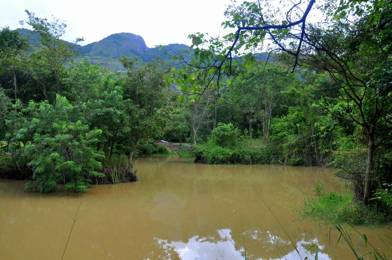 Villa Raintree Dambulla Esterno foto