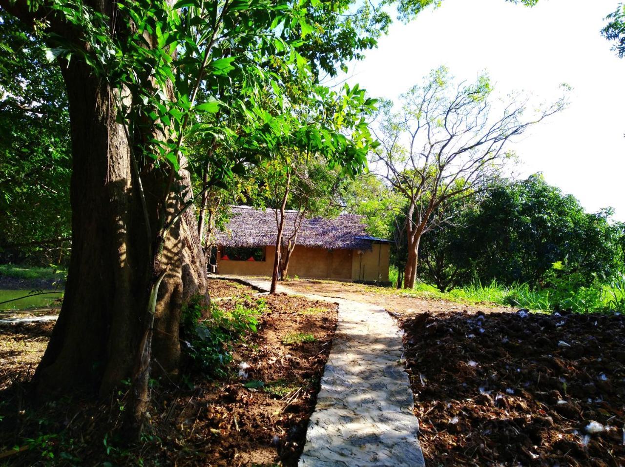 Villa Raintree Dambulla Esterno foto