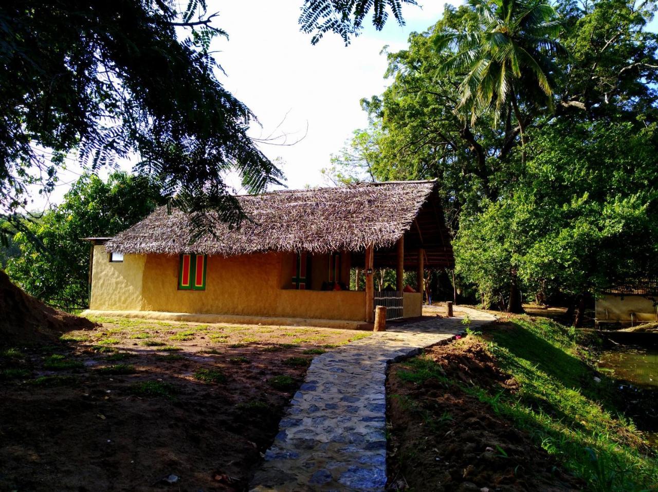 Villa Raintree Dambulla Esterno foto