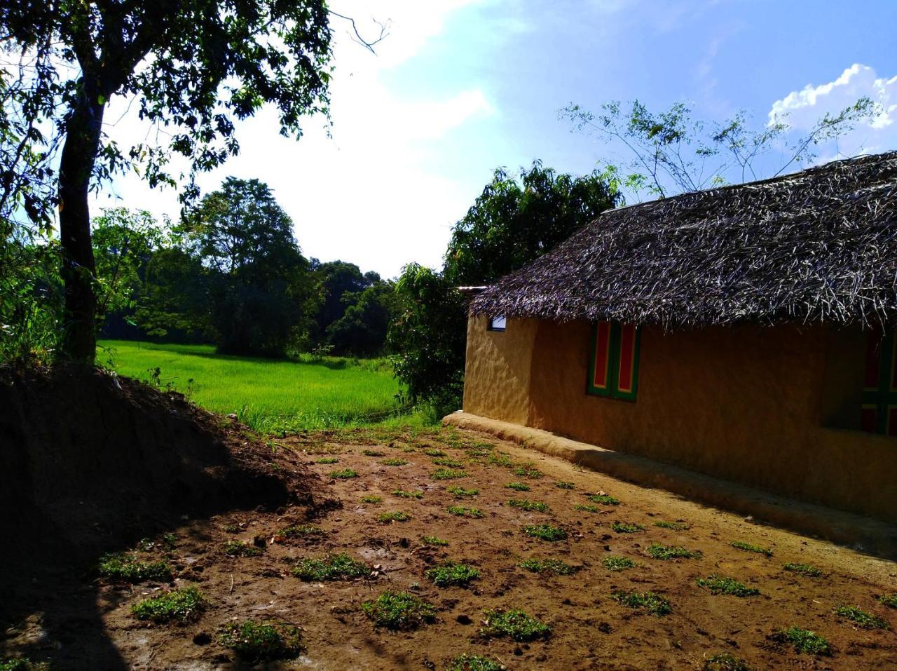 Villa Raintree Dambulla Esterno foto