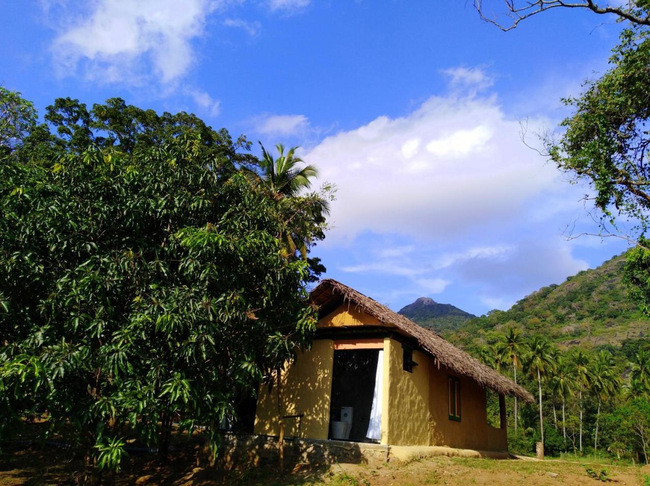 Villa Raintree Dambulla Esterno foto
