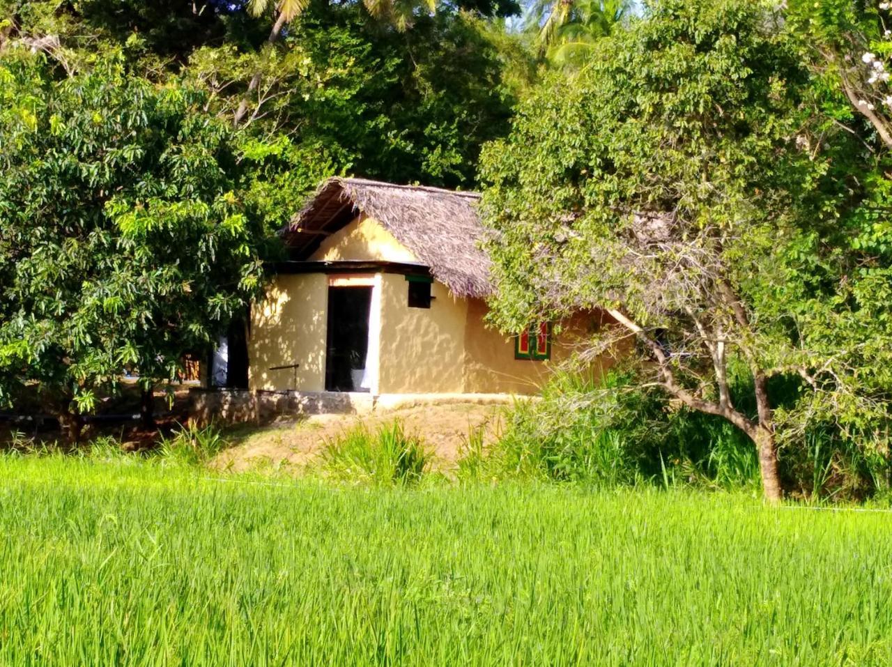 Villa Raintree Dambulla Esterno foto