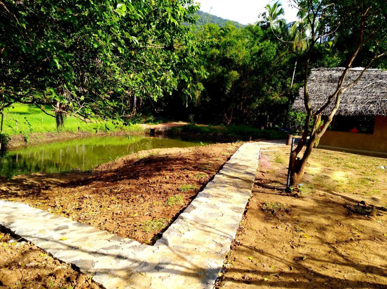 Villa Raintree Dambulla Esterno foto